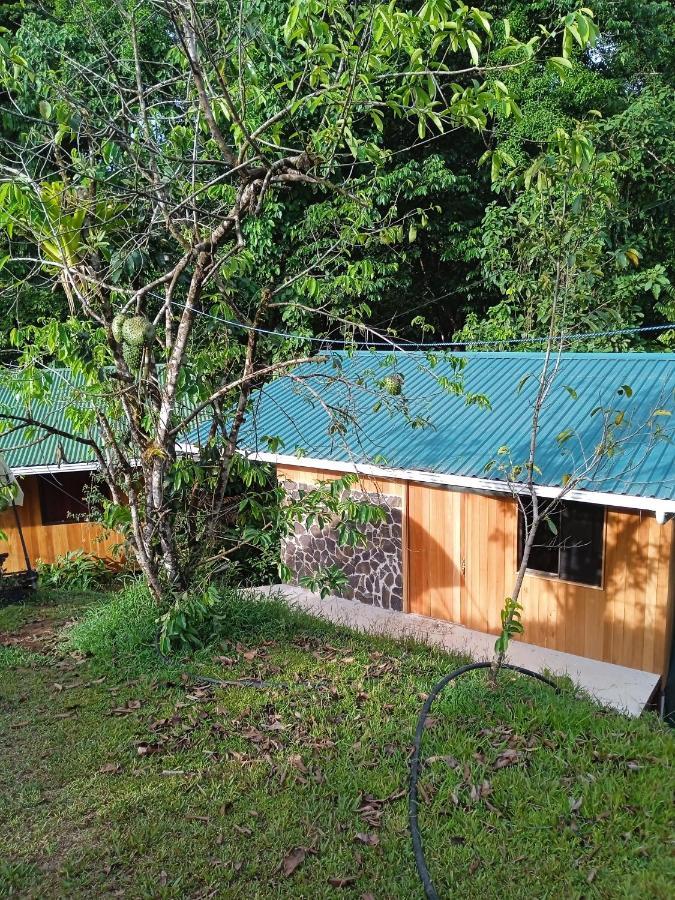 Cabanas Bajo Bosque Drake Drake Bay Ngoại thất bức ảnh