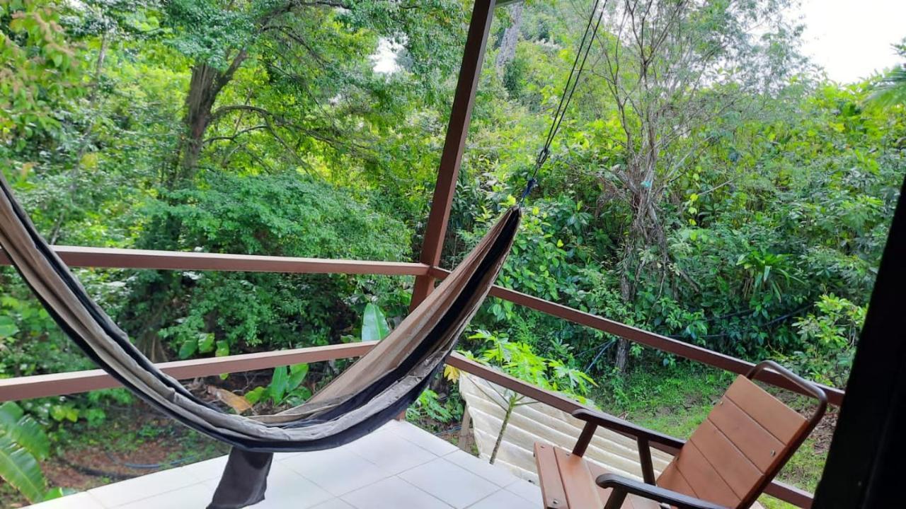 Cabanas Bajo Bosque Drake Drake Bay Ngoại thất bức ảnh