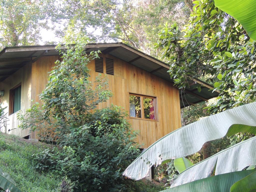 Cabanas Bajo Bosque Drake Drake Bay Ngoại thất bức ảnh