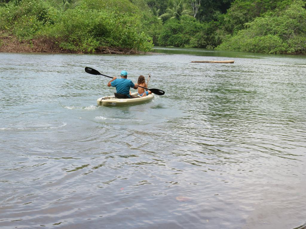 Cabanas Bajo Bosque Drake Drake Bay Ngoại thất bức ảnh