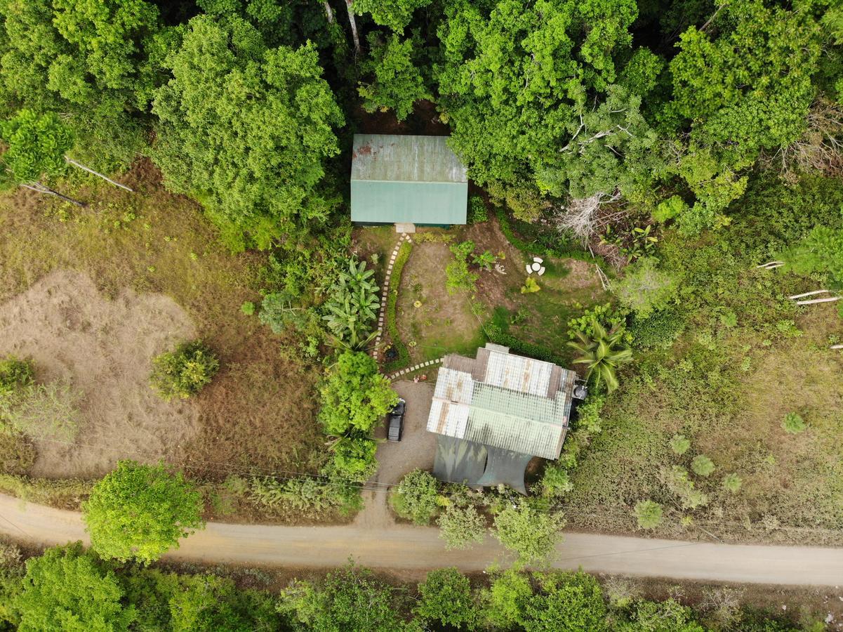 Cabanas Bajo Bosque Drake Drake Bay Ngoại thất bức ảnh