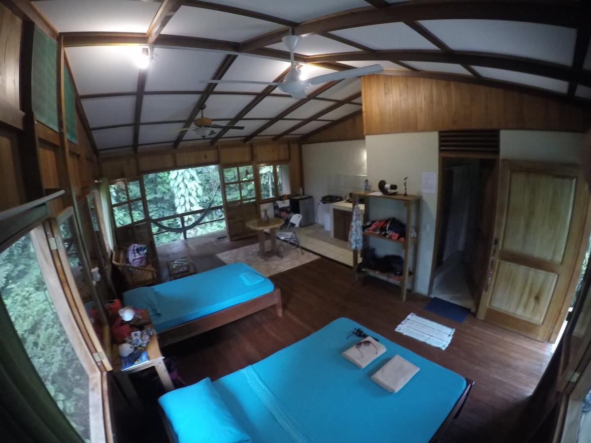 Cabanas Bajo Bosque Drake Drake Bay Ngoại thất bức ảnh