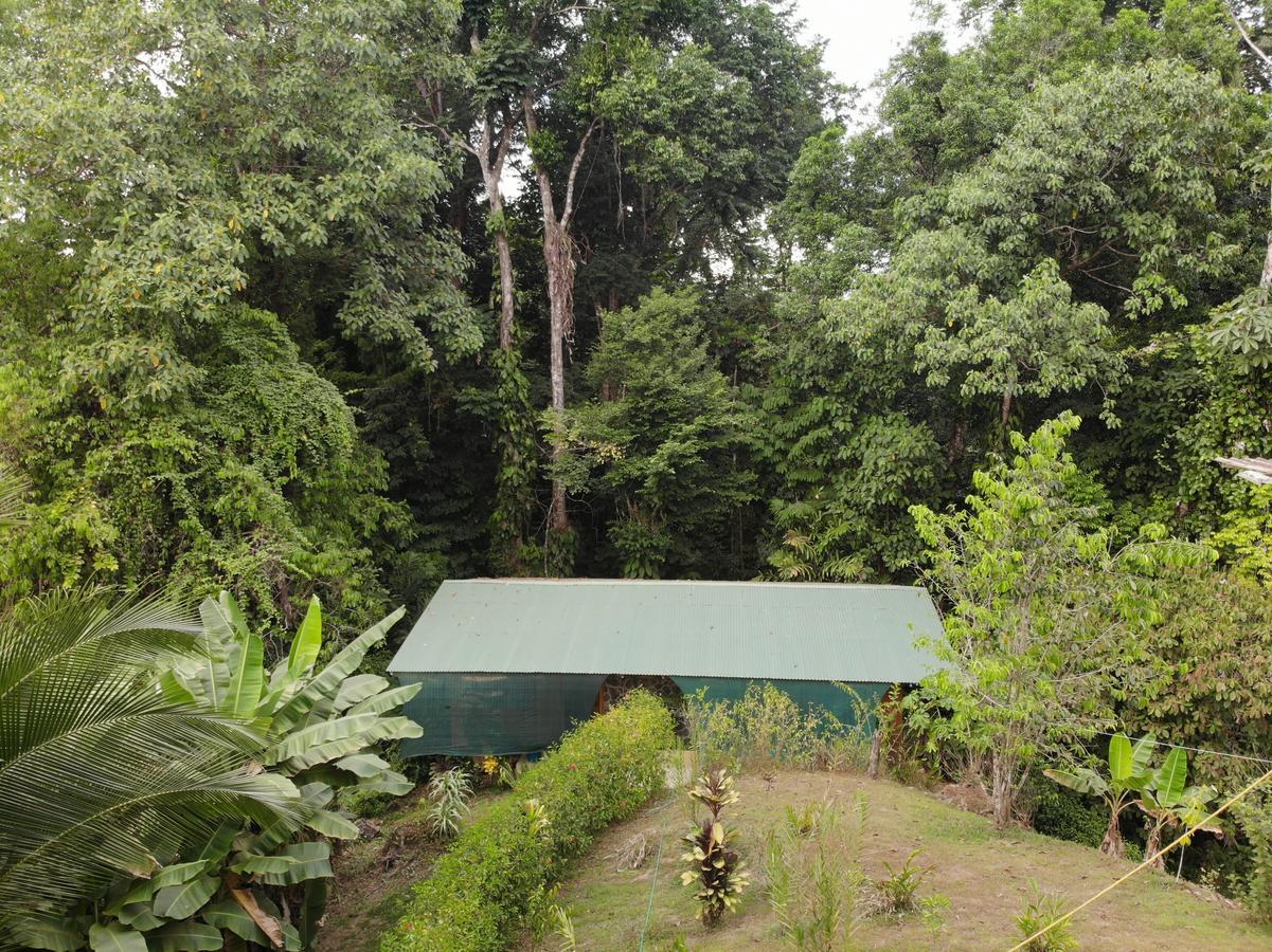 Cabanas Bajo Bosque Drake Drake Bay Ngoại thất bức ảnh