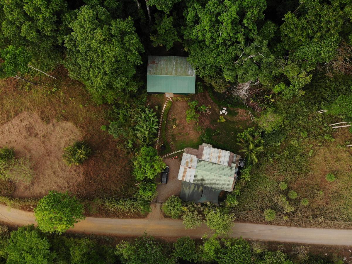 Cabanas Bajo Bosque Drake Drake Bay Ngoại thất bức ảnh